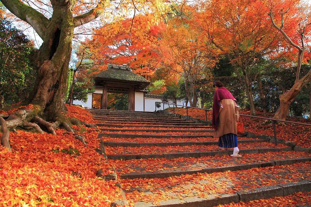 ****  Kyoto Royal Hotel & Spa Japonsko